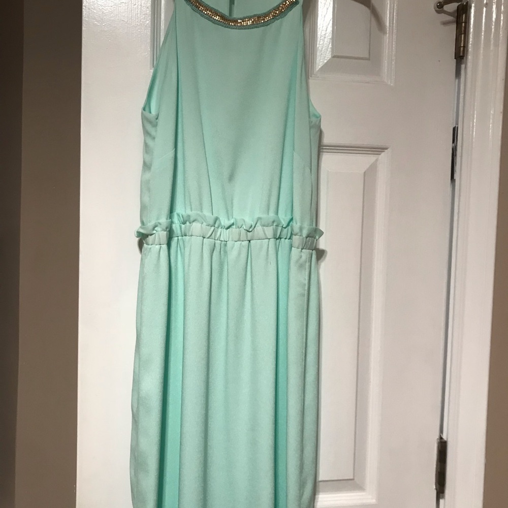 Gianni Bini long dress